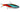 Neon Tetra Care Guide: Everything You Need