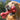 golden lab dog playing with Kong Goodie Bone Classic toy, Pet City