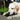 Lab dog playing with Kong Extreme Goodie Bone Dog Toy black bone, Pet City