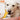 Large dog chewing on Nylabone Power Chew Cheese Bone Dog Toy, Pet City
