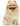 Nylabone Puppy Chew Bone & Ring Bone Twin Pack Dog Toy, Soft for teething Puppies, Chicken Chew, Pet City