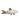 Albino Cory catfish, Pet City, pet city