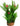 Aqua One Madagascar Lace With Gravel Base Plastic Plant with pink flowers, Pet City