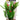 Aqua One Madagascar Lace With Gravel Base Plastic Plant, Pet City