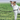 Beau Pets Gentle Leader Easy Walk Harness on a small foxy, Pet City