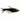 Black Emperor Tetra