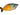 Boesemani Rainbowfish Male Adult