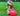dog playing with a red Company of Animals Boomer Ball Dog Toy