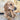 Canine Care Dog Wood Chew Size Guide, Dog Chewing on wood chew, Chews for dogs, Pet City