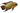Chocolate Cichlid Adult Fish