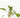 Crypt Wendtii Live Aquatic Plant, Pet City