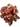 Steak and Kidney Diced Raw Meat , Raw diced meat for cats, dog diced meats, pet City, Raw dog food