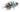 Electric Blue Jack Dempsey Cichlid juvenile, Pet City, pet city