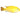 Electric Yellow African Cichlid, Pet City, Pet City, African Cichlids
