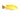 Electric Yellow African Cichlid, Pet City, Pet City, African Cichlids