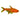 Ember Tetra Peaceful Nano Freshwater Fish