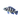 Five-Barred Lamprologus with no background, Pet City