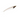 Glass Catfish, Ghost Glass Catfish, Pet City