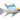 Gold Head Platinum Cobalt Blue Ram, Pet City