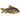 Golden Leopard Sterbai Cory, Pet City, Pet City