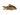Golden Leopard Sterbai Cory, Pet City, Pet City