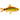 Neon Golden Barb Fish, Pet City