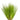Hairgrass - Eleocharis Acicularis Live Plant, Pet City, Live aquatic plants