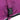 Huskimo Dog Coat Summit Pro Aurora Clips, Clips on summit pro, new Huskimo Dog Coat Summit Pro Aurora, purple jacket, pet city