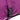 Huskimo Dog Coat Summit Pro Aurora Clips, Clips on summit pro, new Huskimo Dog Coat Summit Pro Aurora, purple jacket, pet city