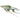 Threadfin Rainbow Fish, Live tropical fish for sale, Pet City
