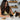 Inaba Churu Pop'N Serve Tuna Recipe Cat Treats How to serve share the love poster, Posters for cats, Pet City