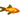 Mixed Nymphs Cold Water Fish, Nymph goldfish, goldish assorted, Pet Essentials Warehouse