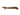 Ornate-Bichir, Pet Essentials Warehouse