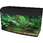 Pet City Aqua One AquaStyle Series Website collection Image