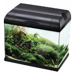 Pet City Aqua One EcoStyle Series 81 tank collection image
