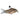 Pet City Cory Fish For Sale Website Collection Image
