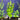 Lysimachia Live Aquatic Plant in a planted aquarium, Pet City
