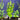 Lysimachia Live Aquatic Plant in a planted aquarium, Pet City