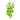 Lysimachia Live Aquatic Plant bunch, Pet City