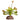 Reptile One Plant Mini Aenium Green with Ceramic Base
