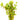 Rotala Macrandra Pink Live Aquatic Plant bunched with lead weight, Pet City