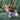dog on green couch playing with Kong Scrumplez Tug Squeaker Koala Dog Toy, Pet Cityd