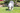Chuckit Eco Fetch Stick, dog playing with Chuckit Eco Fetch Stick, Pet City, warehouse