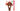 Nylabone Dental Arch Bone, Pet City