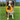 Border Collie dog playing with Nylabone Creative Play C-Shuu, Pet City