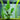 Borneo Sword Live Aquatic Plant in a fish tank, Pet City