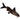 Synodontis Petricola, live fish for sale, Pet City