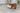 Trixie Be Eco Monkey Dog Toy, Dog Playing with Trixie Be Eco Monkey Dog Toy, Pet City