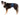 Trixie Belly Band For Male Dogs, Male dogs, Belly band for male dogs, Pet City