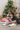 Trixie Christmas Plush Dog Toy, Dog with Trixie Christmas Plush Dog Toy, Christmas dog toys, Pet City
